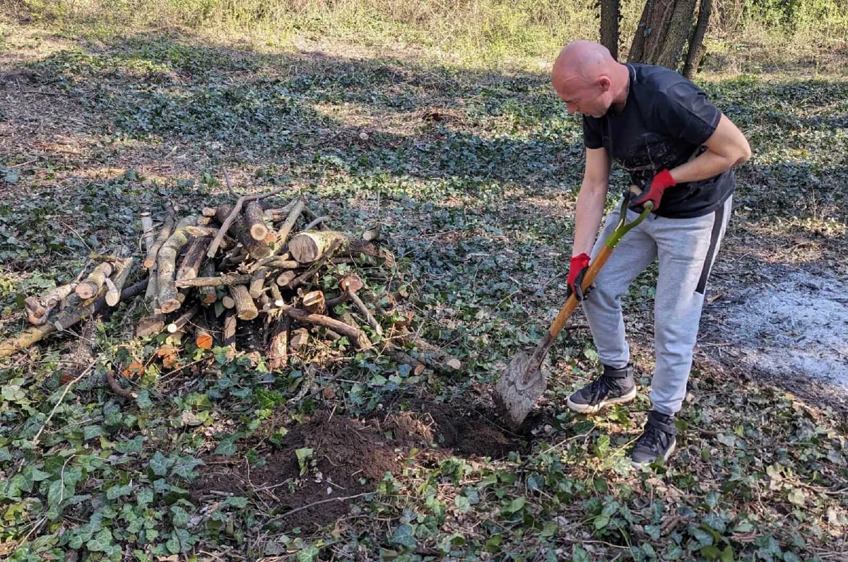 sadnja drveća u šumi – akcija Forests Digital