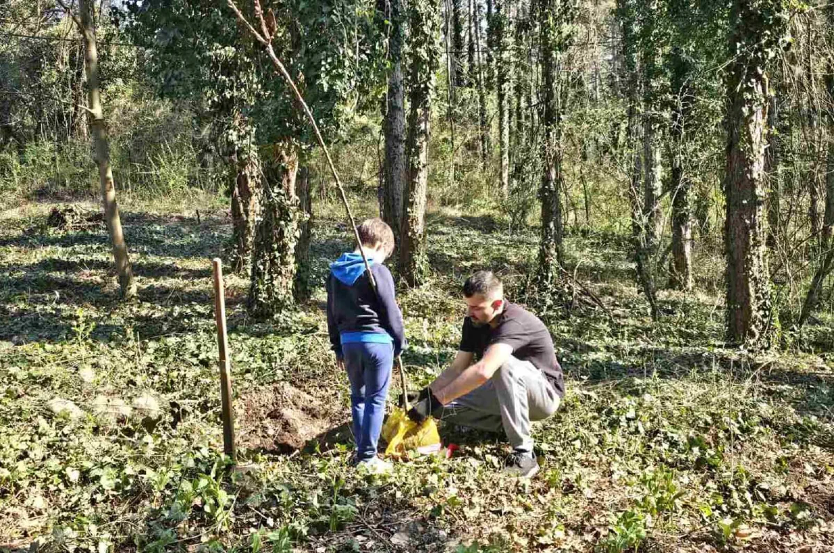sadnja drveća u šumi – akcija Forests Digital