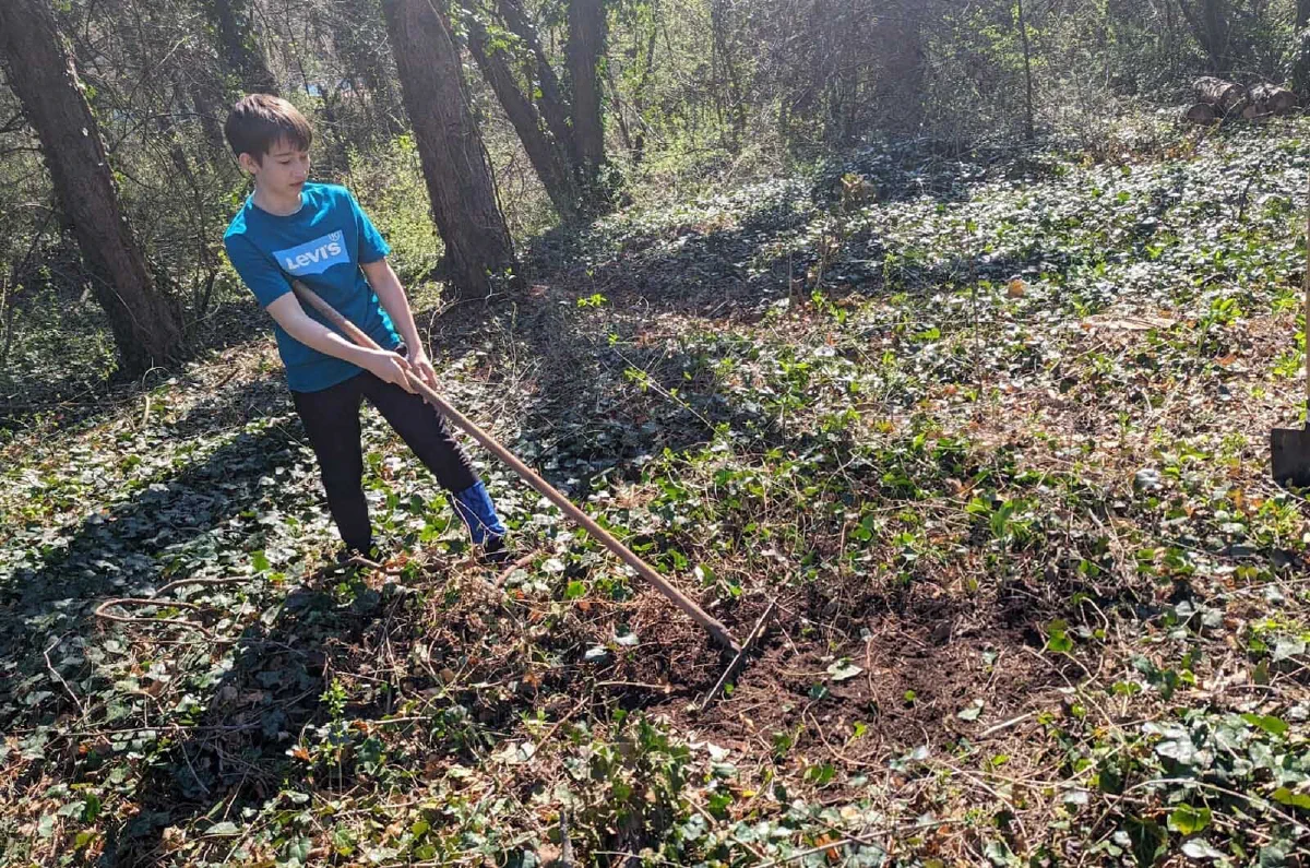 sadnja drveća u šumi – akcija Forests Digital